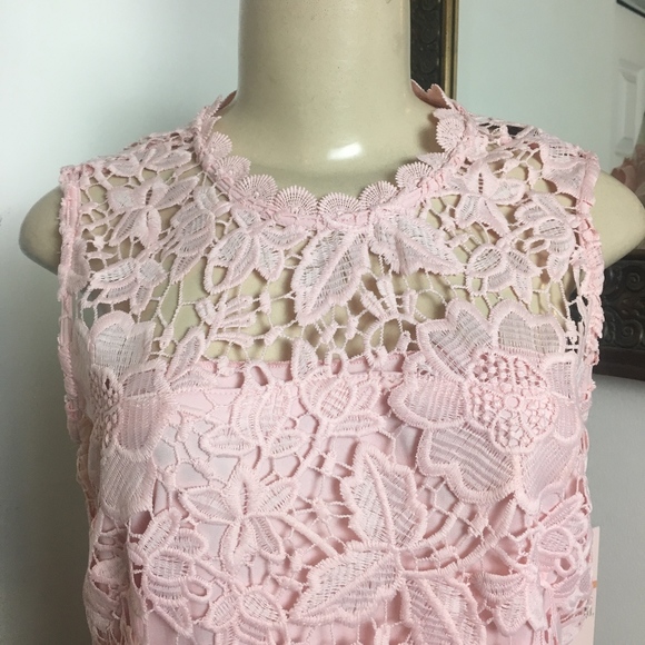 NWT! NANETTE LEPORE ROSE LACE TOP SMALL - Picture 3 of 8